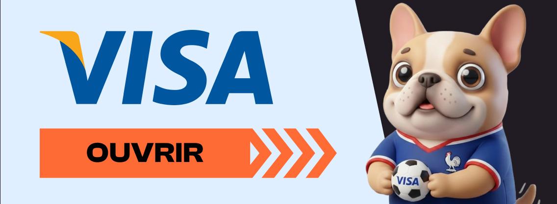 Visa payment Visa payment