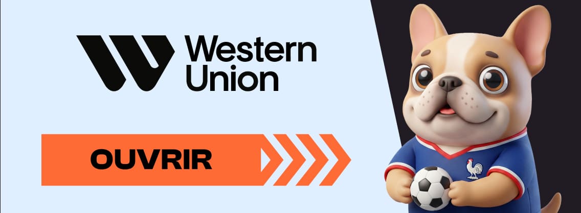 Western Union payment
